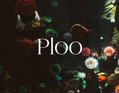 Ploo — Website