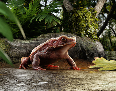 Amazonian Frog - Rhaebo guttatus - by kelvinartstudio