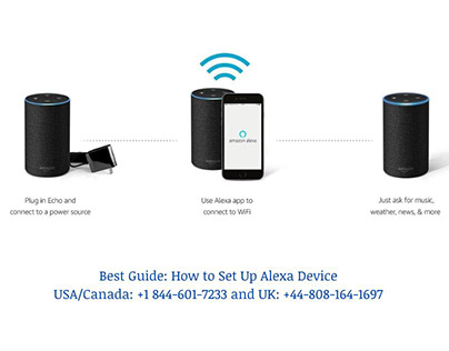 How to Set Up Alexa Device
