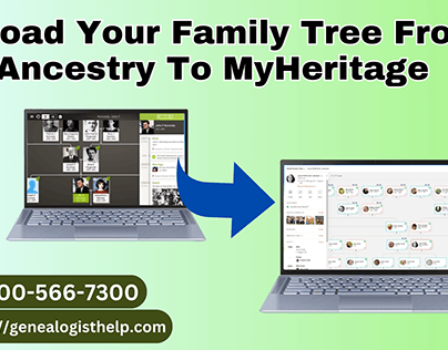 Upload your family tree from Ancestry to MyHeritage