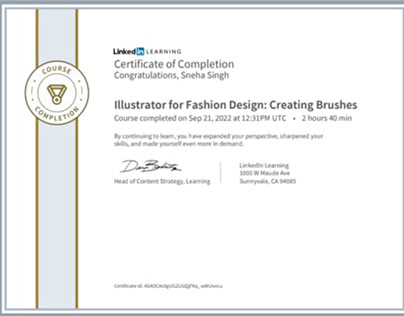 Certification of Completion of Illustrator