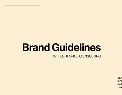 Brand Guide for Techforce Consulting