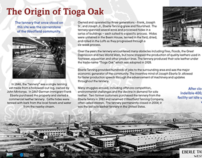 The Origin of Tioga Oak