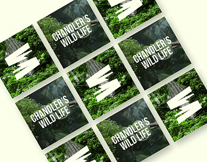 Chnadler’s wild life Brand Redesign