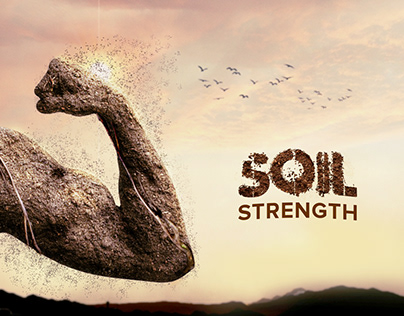 Soil Strength