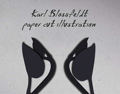 Karl Blossfeldt paper cut illustration