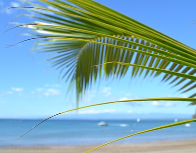 Fotografía playa Punta Leona