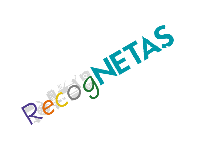 NETAŞ Logo