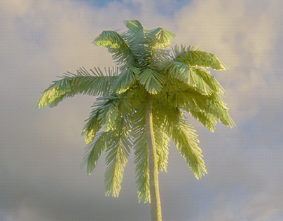 palm 3D