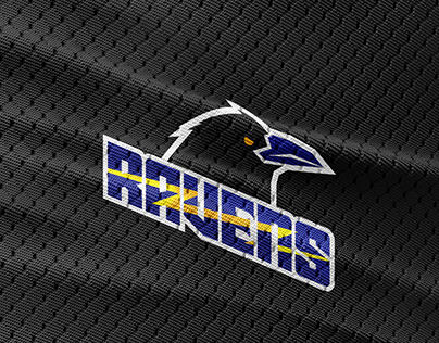 Ravens | Mascot Logo