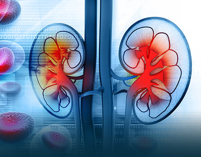 What is Nephrology?