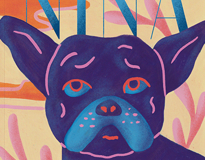 Project thumbnail - Animal Magazine Covers
