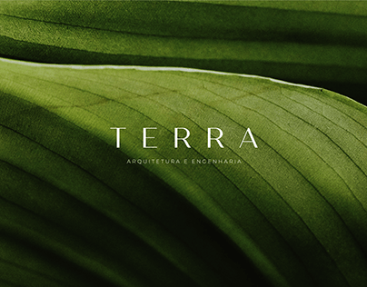 Branding: Terra