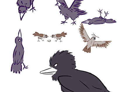 Crows, sparrows and raven