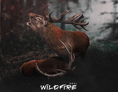 WildFire 2021 - حرائق الغابات