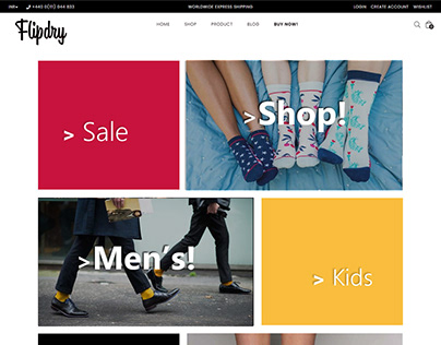 ecommerce store shopify