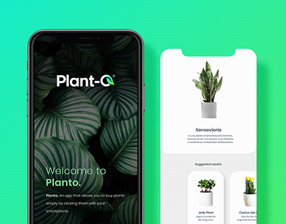 PLANT-O Brand Identity Design