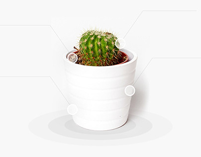 Cactus Landing Page Design Concept ..