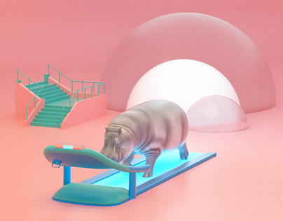 hippo on treadmill