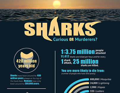 Shark Infographic Revision