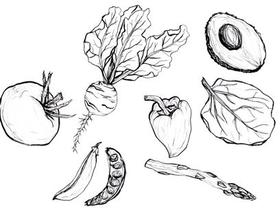 Ink Drawing Veggies - Nyasha Lukacs