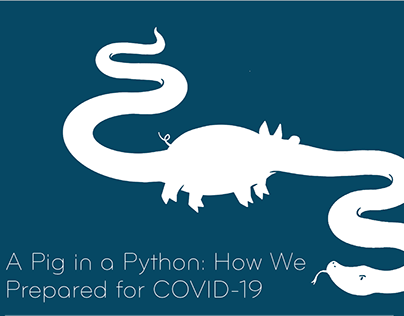 A Pig in a Python (Marketing Whitepaper)