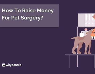 How To Raise Money For Pet Surgery and Pet Healthcare