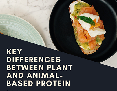Key Differences Between Plant and Animal-Based Protein