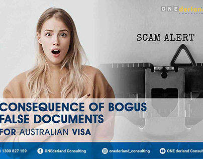 A Consequence of Bogus False Documents for Visa