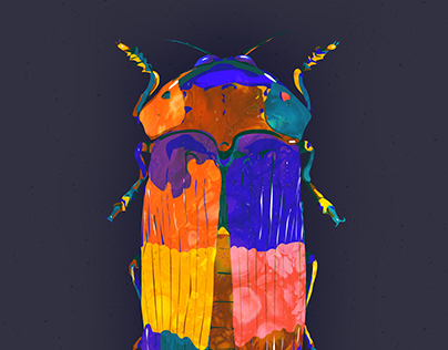 Beetle prints