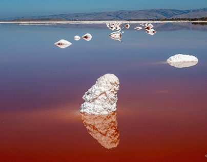 Alviso Salt Ponds