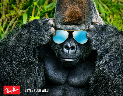 Style Your Wild (Ray Ban)