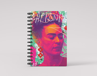 Frida notebook