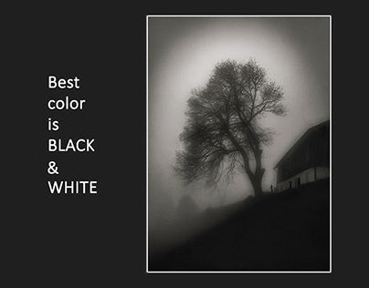 The best color is BLACK&WHITE