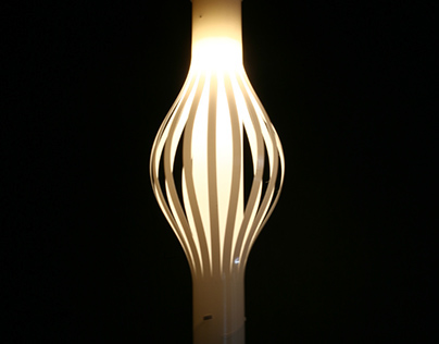 LAMP #1