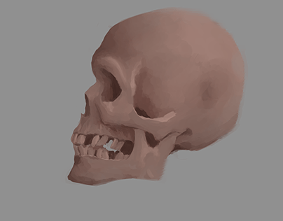 Skull Paint Experiment