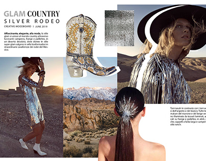 GLAM COUNTRY - Silver rodeo moodboard