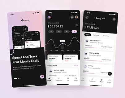 Paypay - Money Management Mobile and Saas App