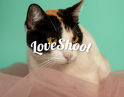 (Branding) LoveShoot: Fotografía para mascotas