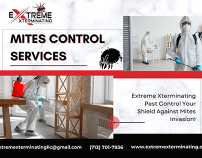 Protect Your Home with Mites Control Services