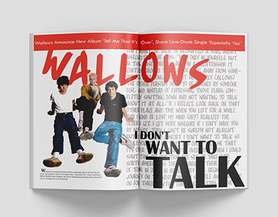 Wallows Magazine Spread