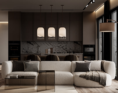 Cozy kitchen-living room
