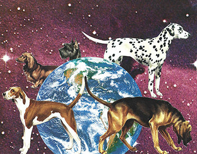 doggos univers - handcut collage