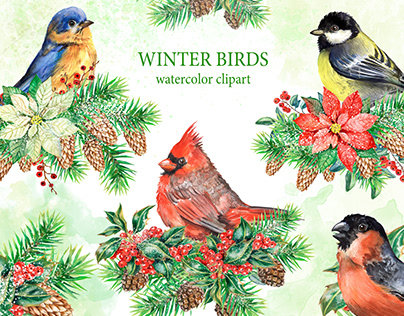 Winter birds watercolor clipart.