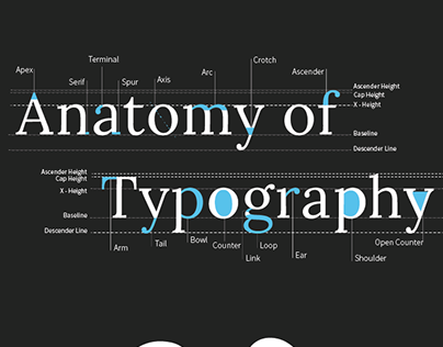 Anatomy of Typography Posters