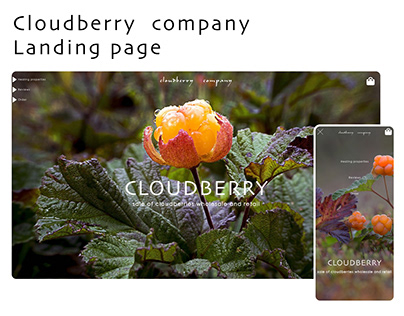 Landing page for Cloudberry company
