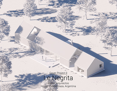 Le Negrita - Cover Project
