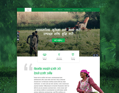 Farm Website UI Design