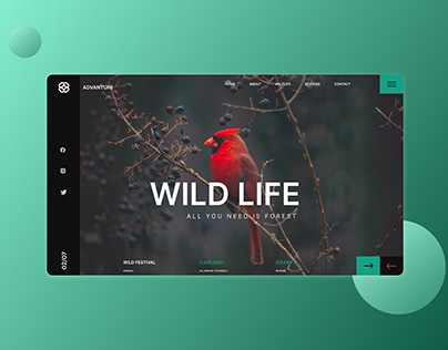 WILD LIFE | WEBSITE DESIGN