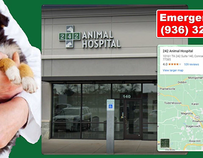 Exceptional Pet Care at 242 Animal Hospital